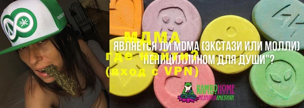 ПСИЛОЦИБИНОВЫЕ ГРИБЫ Богданович