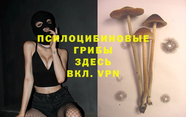 кокс Богородск