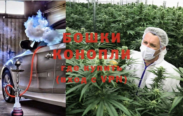ПСИЛОЦИБИНОВЫЕ ГРИБЫ Богданович