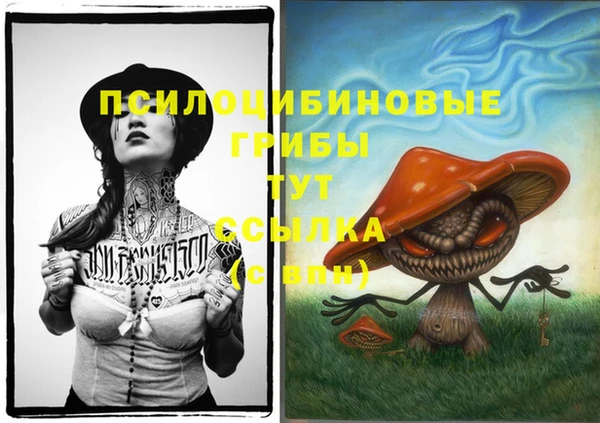 a pvp Богородицк
