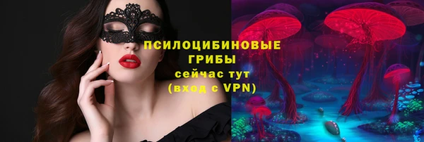 a pvp Богородицк