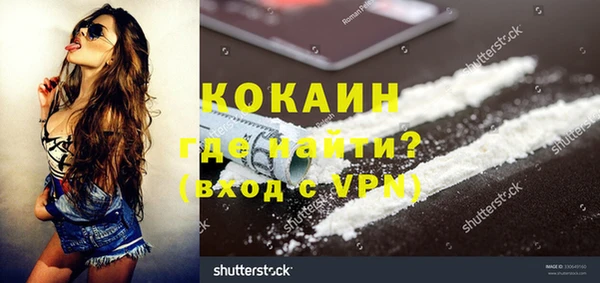 ПСИЛОЦИБИНОВЫЕ ГРИБЫ Богданович
