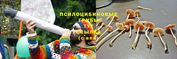 a pvp Богородицк