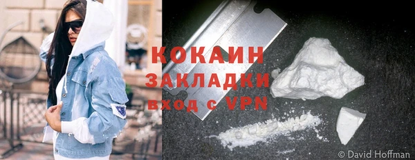 ПСИЛОЦИБИНОВЫЕ ГРИБЫ Богданович