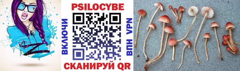 даркнет сайт  Валуйки  Галлюциногенные грибы прущие грибы 